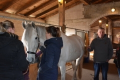 Erste-Hilfe-und-Zahngesundheit-2019-02