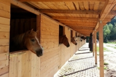 Pferdepension-1